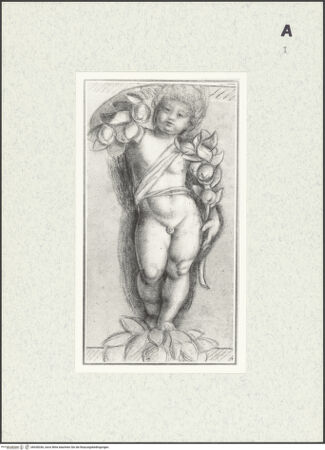 Vorderseite von bh428336_recto