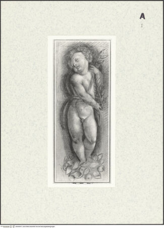 Vorderseite von bh428337_recto