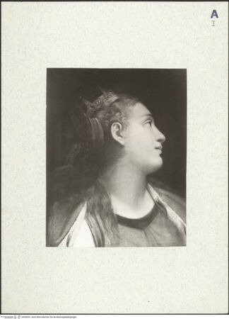 Vorderseite von bh428351_recto