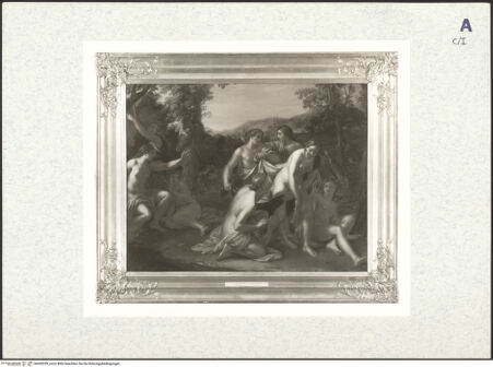 Vorderseite von bh428355_recto