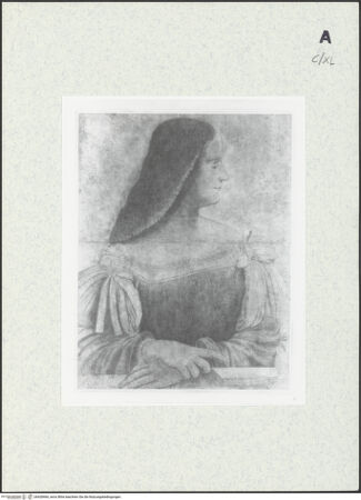 Vorderseite von bh428466_recto