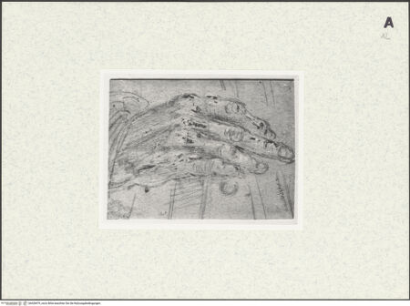 Vorderseite von bh428479_recto