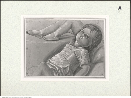 Vorderseite von bh428488_recto