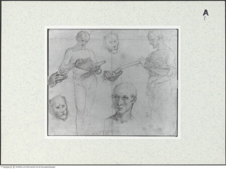 Vorderseite von bh428504_recto