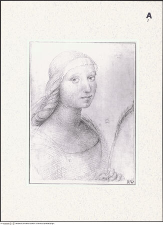 Vorderseite von bh428505_recto