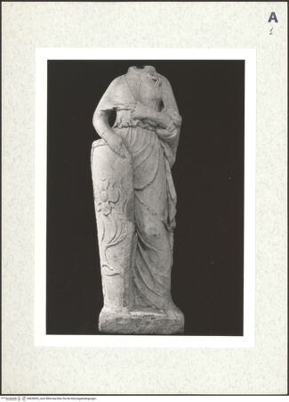 Vorderseite von bh428630_recto