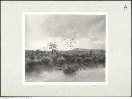 Vorderseite von bh428680_recto