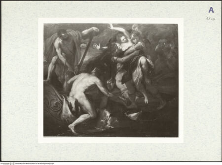 Vorderseite von bh428742_recto