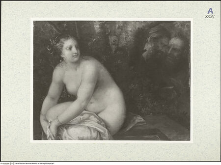 Vorderseite von bh428763_recto