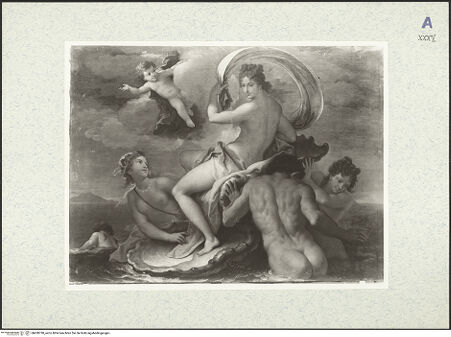 Vorderseite von bh428790_recto