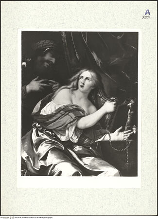 Vorderseite von bh428799_recto