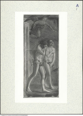 Vorderseite von bh428849_recto