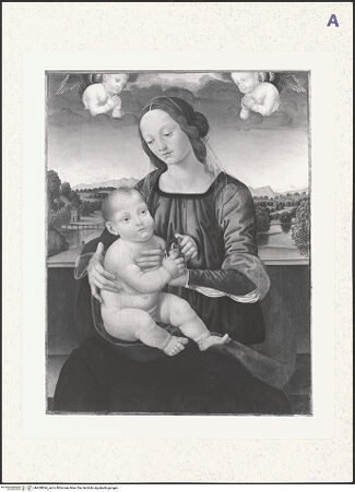 Vorderseite von bh428864_recto