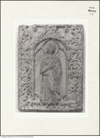 Vorderseite von bh428878_recto