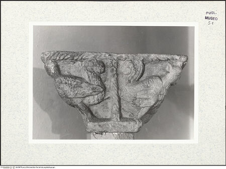 Vorderseite von bh428879_recto