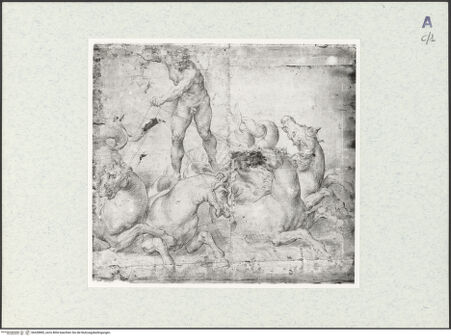 Vorderseite von bh428885_recto