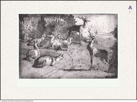 Vorderseite von bh428888_recto