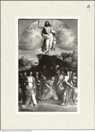 Vorderseite von bh428890_recto