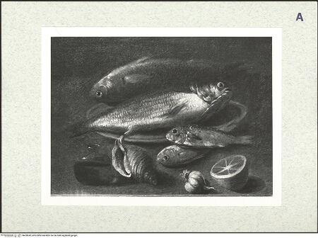 Vorderseite von bh428942_recto