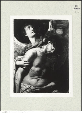 Vorderseite von bh428965_recto