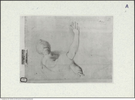 Vorderseite von bh429000_recto