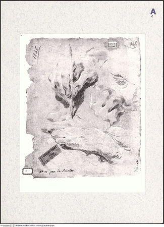 Vorderseite von bh429006_recto