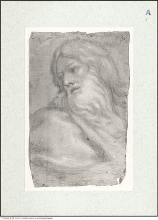 Vorderseite von bh429011_recto