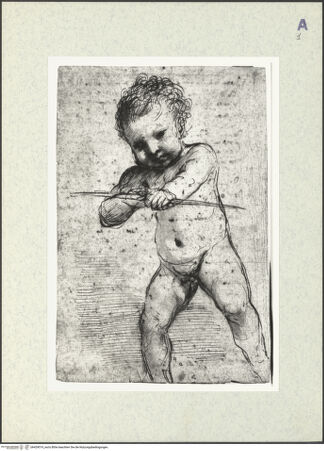 Vorderseite von bh429019_recto