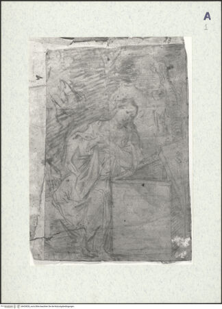 Vorderseite von bh429020_recto