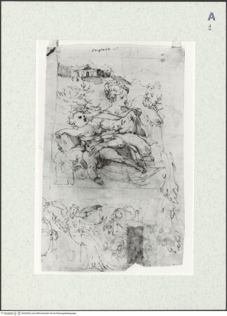 Vorderseite von bh429034_recto