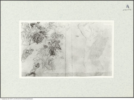 Vorderseite von bh429471_recto