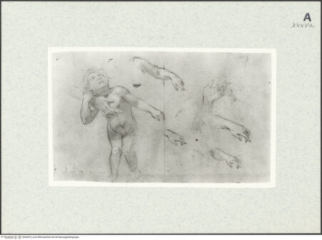 Vorderseite von bh429472_recto