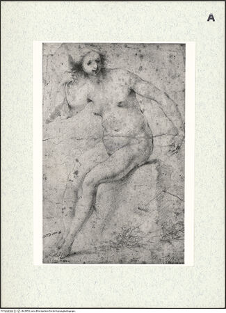 Vorderseite von bh429502_recto