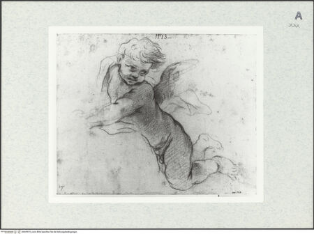 Vorderseite von bh429515_recto