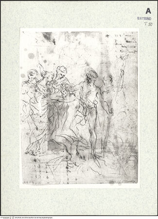 Vorderseite von bh429528_recto