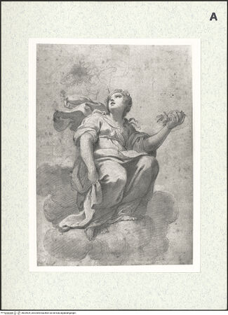 Vorderseite von bh429529_recto