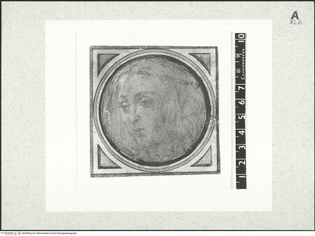 Vorderseite von bh429534_recto