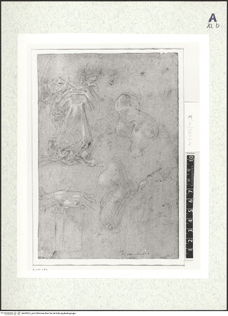 Vorderseite von bh429537_recto