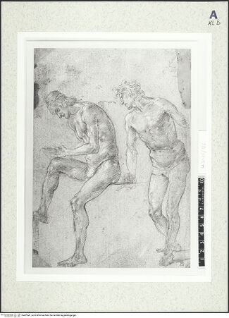 Vorderseite von bh429541_recto