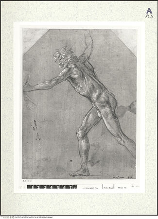 Vorderseite von bh429542_recto