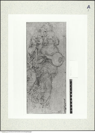 Vorderseite von bh429546_recto