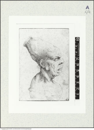 Vorderseite von bh429551_recto