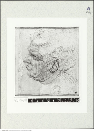 Vorderseite von bh429552_recto