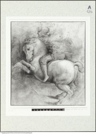 Vorderseite von bh429554_recto