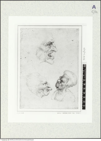 Vorderseite von bh429556_recto