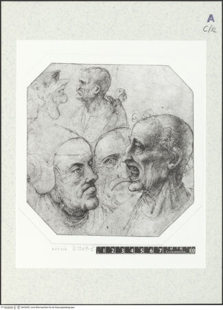 Vorderseite von bh429557_recto