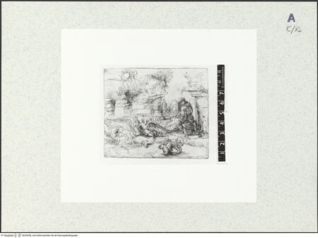 Vorderseite von bh429558_recto