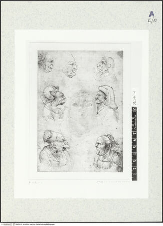 Vorderseite von bh429559_recto