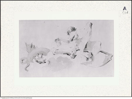 Vorderseite von bh429606_recto