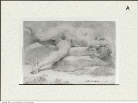 Vorderseite von bh429658_recto